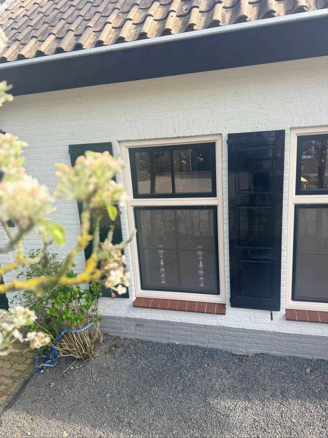 Ramen met donkere luiken achter een bloeiende struik in de voortuin